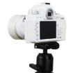 White Dummy DSLR Camera Model DF - Room Props Display - 6