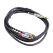 6.35mm Male to Dual RCA Male Audio Cable, 3m Length - 2