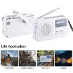 Portable Solar/Cranked Dynamo LED Flashlight with AM/FM Radio & Phone Charger - 4