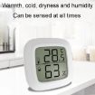 Mini Electronic Pet Temperature and Humidity Meter - Home Use - 4