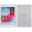 iPad Mini 5 Silver Dummy Display Model - 1