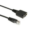 RJ9 Male to 2 x 3.5mm Female Audio Cable - 20cm Length - 2