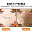 Household Flea Traps Insect Trap Lamp - UK Plug - 5