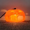 Household Flea Traps Insect Trap Lamp EU Plug - 8