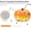 Household Flea Traps Insect Trap Lamp AU Plug - 2