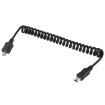 Micro USB Male to Mini 5-pin Coiled Cable, 20cm Length - 1