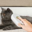 Rechargeable Pet Electric Spray Comb Grooming Brush (White) - 9