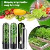 Herb Crisper Vegetable Keep Fresh Container - Black - 2