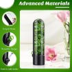 Herb Crisper Vegetable Keep Fresh Container - Black - 4