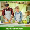 Herb Crisper Vegetable Keep Fresh Container - Black - 6