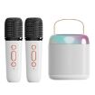 Portable Bluetooth Speaker Outdoor Karaoke Audio Y2 White - 1