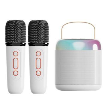 Portable Bluetooth Speaker Outdoor Karaoke Audio Y2 White - 1