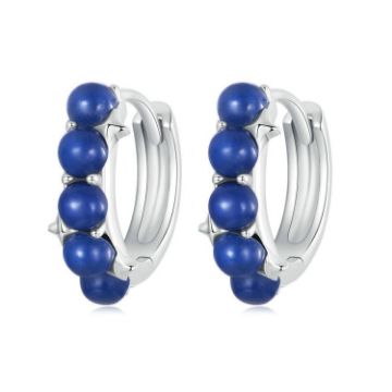 Picture of S925 Sterling Silver Platinum Plated Blue Daily Earrings (BSE984)