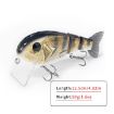 Bionic Fish Lua Sea Fishing Bait - Floating Fake Bait - 3