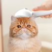 RK56 USB Charging Spray Pet Grooming Comb - Pink - 9