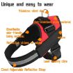 Pet Dog Anti Sprint K9 Chest Strap, Size M, 13-23kg, Black - 2