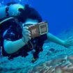 Diving Shell Gen2 Upgrade IP68 Waterproof Phone Case - Black Blue - 9