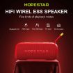 HOPESTAR P26 Outdoor Bluetooth Speaker (Grey) - 4