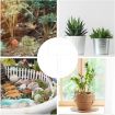 Acrylic Plant Label Nameplate Potted Plant Sign Holder - 24pcs/Box - 5