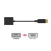 Display Port Male to HDMI Female Adapter Cable, 20cm Length - 2