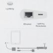 NK-1035 Ethernet Port + 8 Pin Female to 8 Pin Elbow Male Adapter - 6