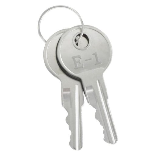 EZGO TXT Golf Cart Starter Key Ignition Keys 17063-G01 - 1