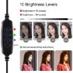PULUZ 2 in 1 Vlogging Live Broadcast Smartphone Video Rig + LED Selfie Light Kit - 9