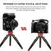 Canon EOS R10 PULUZ Metal Camera Cage Stabilizer Rig - Black - 5