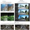 Insta360 GO 2/GO 3 ND16 Camera Lens Filter - 5