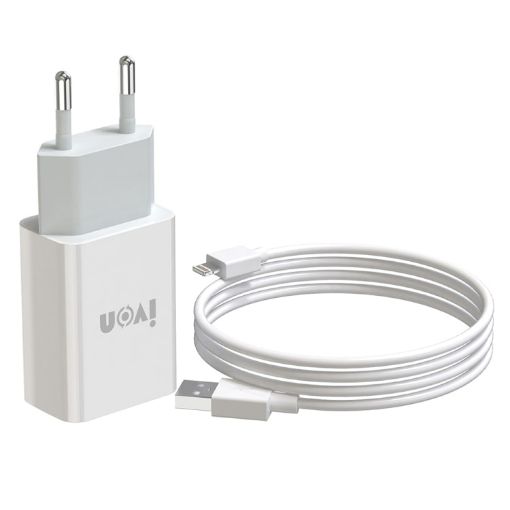 IVON AD-33 Travel Charger + 1m USB Data Cable Set EU Plug - 1
