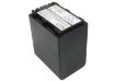Sony HDR-UX Series Battery NP-FH100 for HDR-UX9E/UX7E/UX5E/UX3E - 1