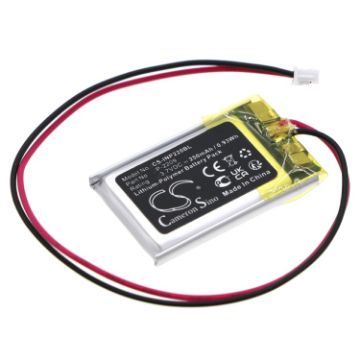 Int Raster Memory Backup Battery (P/N P-2209) - 1