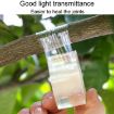 3cm Garden Grafting Tape Fruit Tree Seedling Self-Adhesive Wrap - 6