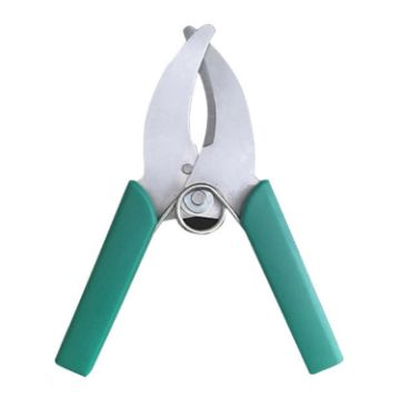 Green Fruit Tree Cutting Shears Seedling Stripping Scissors - 1