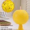 8cm Indoor Fruit Fly Ball Sticky Ball - Insect Attractant - 3