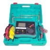 DUOYI DY4200 Car Ground Resistance Tester - 5
