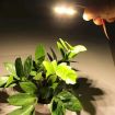 3W 6 LEDs SMD 5730 LED Module Lamp Ceiling Lighting Source - 4