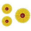 3pcs Fly Stickers Window Traps - Sticky Insect Traps - 1