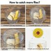3pcs Fly Stickers Window Traps - Sticky Insect Traps - 5