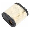 Tecumseh 36905 Air Filter Cleaner for LEV100 LEV115 LEV120 - 3
