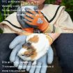 TPE Children Cartoon Gloves Hamster Parrot Size M Orange - 5