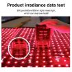 360 LED Beads Red Light Therapy Waist Pad - US Plug - 7