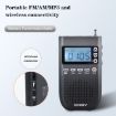 QINGLV QL-518 Portable Bluetooth Transmitter Radio (Black) - 2