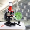 HD 1200X Microscope Toy for Kids - Educational Science Equipment (Red) - 2