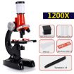 HD 1200X Microscope Toy for Kids - Educational Science Equipment (Red) - 4
