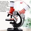 HD 1200X Microscope Toy for Kids - Educational Science Equipment (Red) - 6