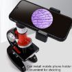HD 1200X Microscope Toy for Kids - Educational Science Equipment (Red) - 9