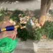 Adjustable Double Head Garden Manual Sprayer - 7