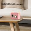 Mini Retro Card USB Flash Drive FM Radio Bluetooth Speaker (Pink) - 8