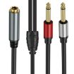 0.3m TRS Stereo Female to 2 x TS Male Audio Adapter Cable - 2